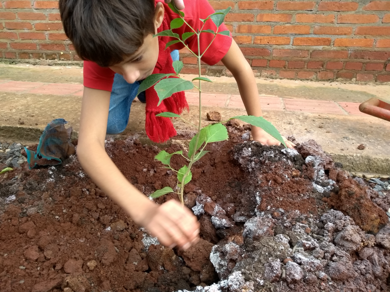 Prefeitura realiza plantio de 300 mudas